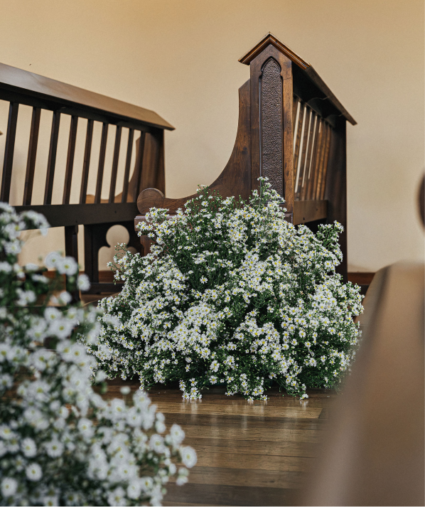 Buquês Sob Medida Curitiba